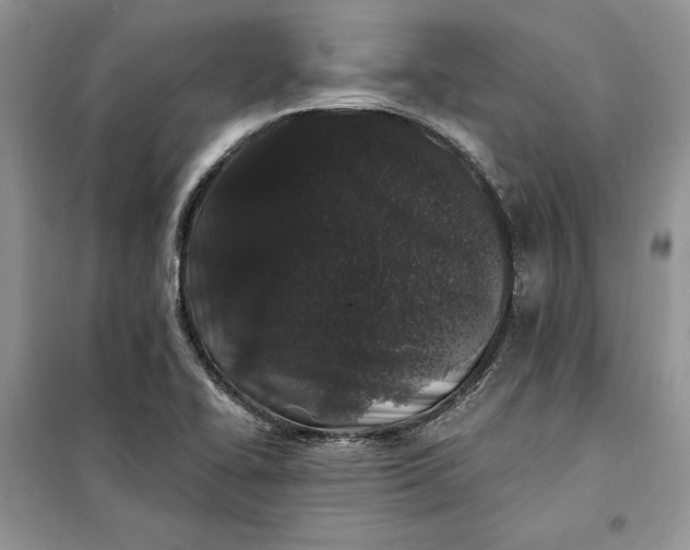 X0000099521414200805291201