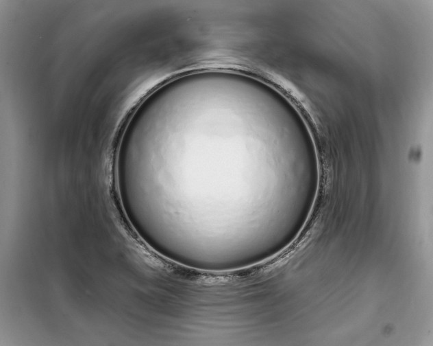 X0000099521415200805291201