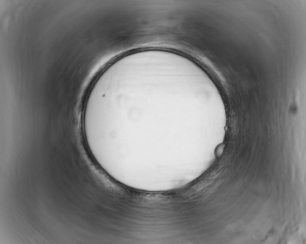 X0000099521416200805291201