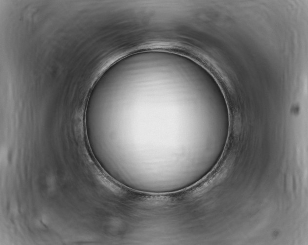 X0000099521417200805291201