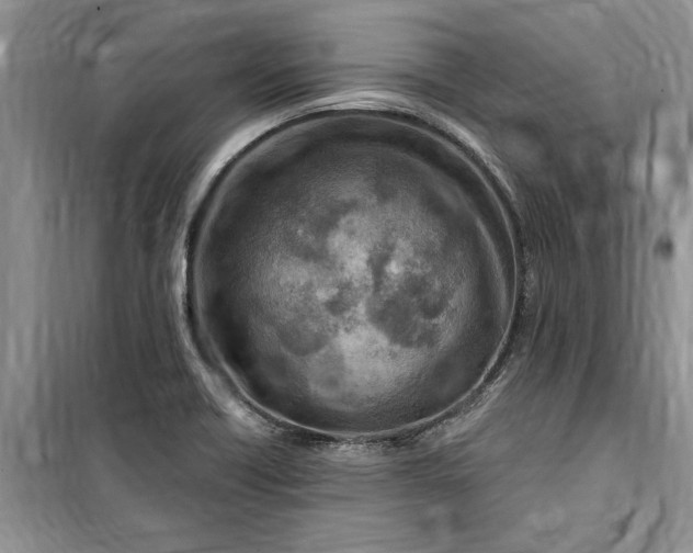 X0000099521418200805291201