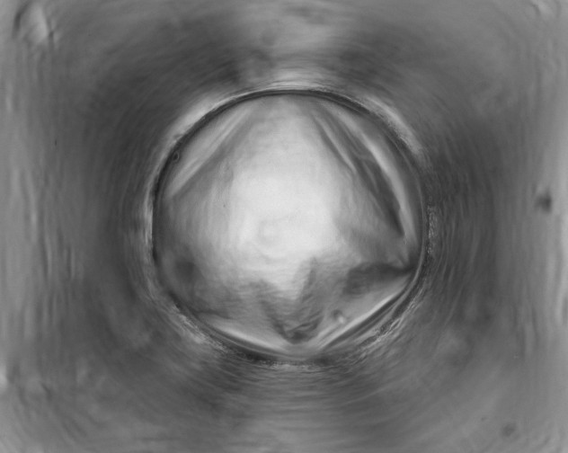 X0000099521419200805291201