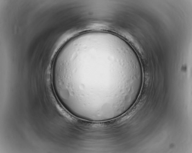 X0000099521421200805291201