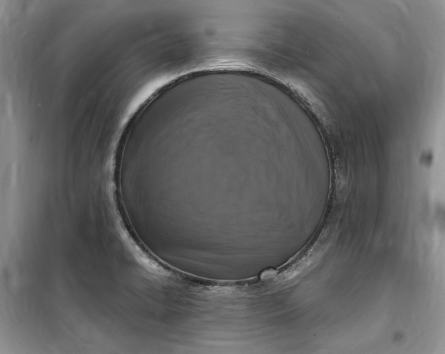 X0000099521422200805291201