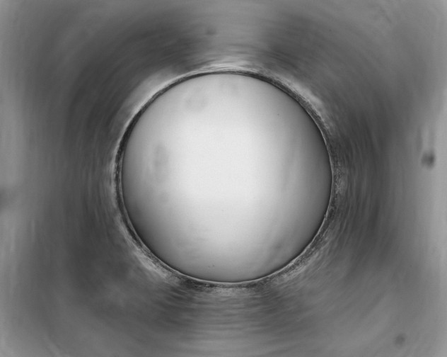 X0000099521423200805291201