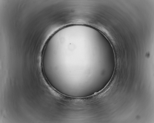 X0000099521424200805291201