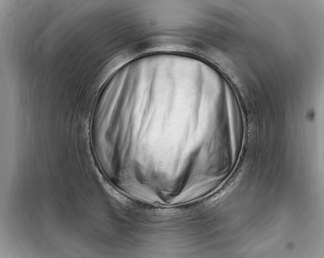 X0000099521425200805291201