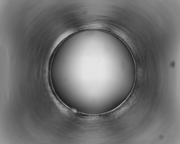 X0000099521426200805291201