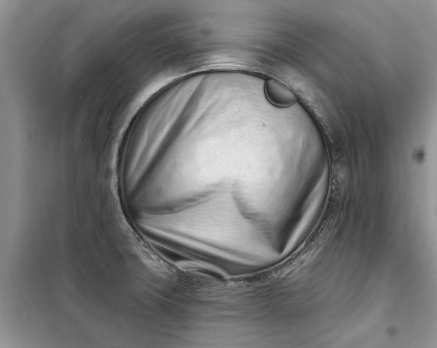 X0000099521427200805291201