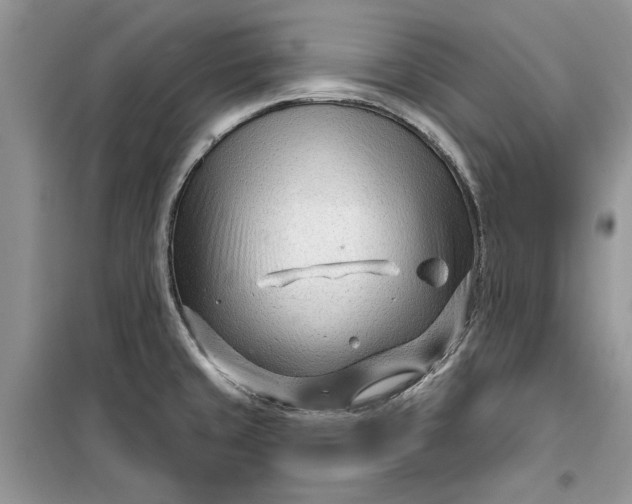 X0000099521429200805291201