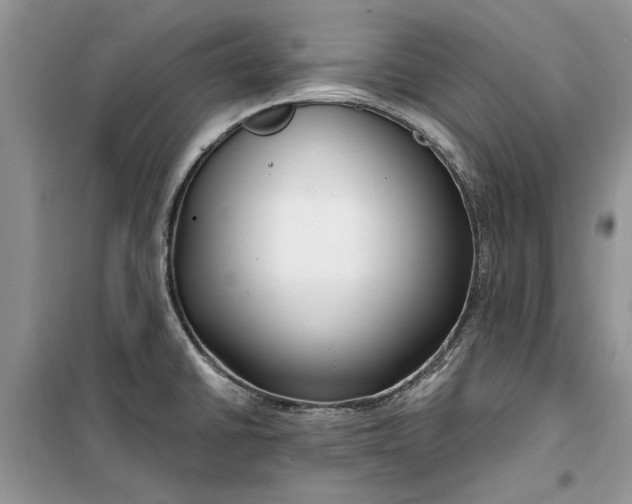 X0000099521430200805291201