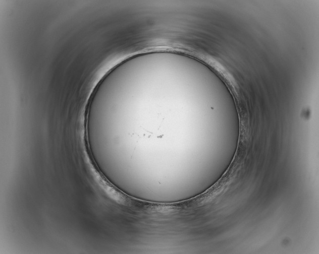 X0000099521431200805291201