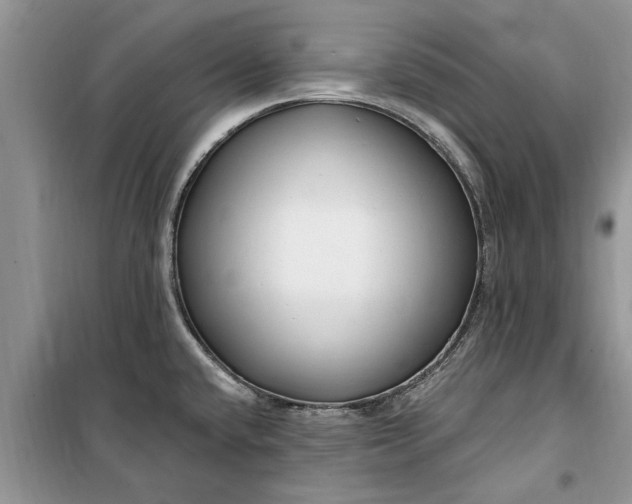 X0000099521432200805291202