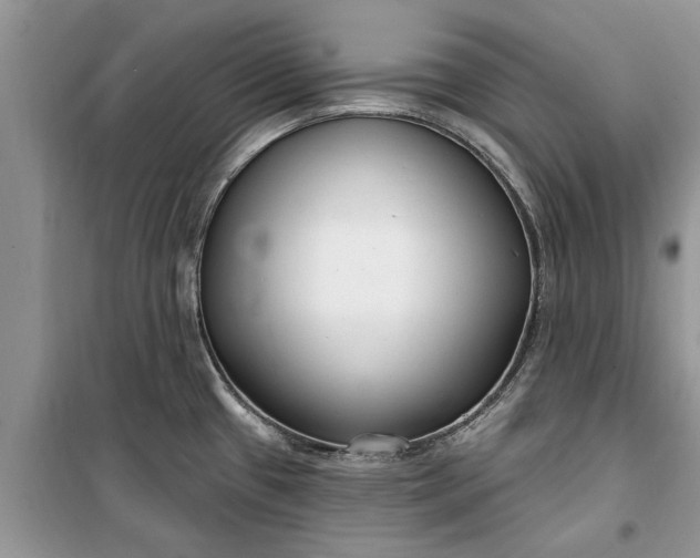 X0000099521433200805291202