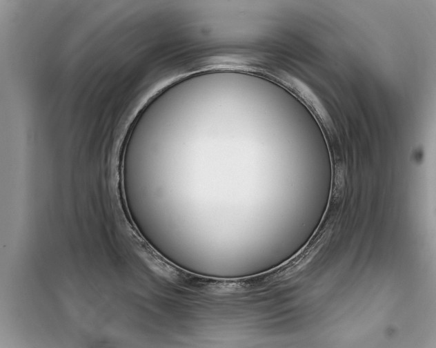 X0000099521435200805291202