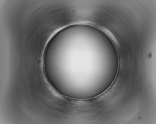 X0000099521436200805291202