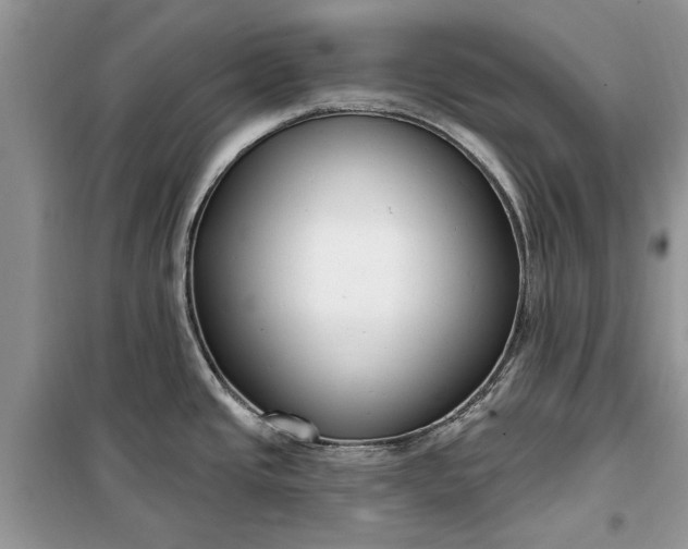 X0000099521437200805291202