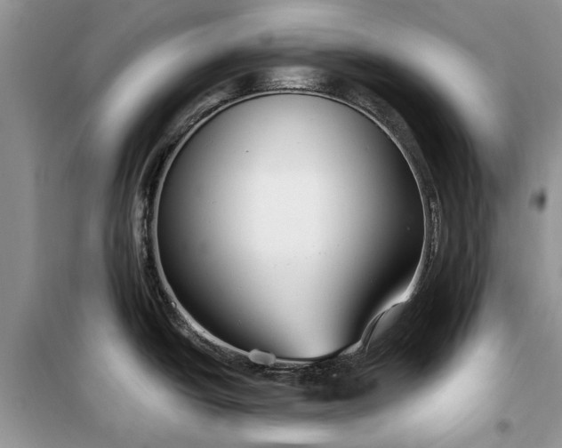 X0000099521438200805291202