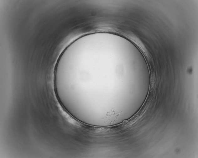 X0000099521439200805291202