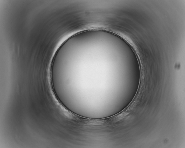 X0000099521440200805291202