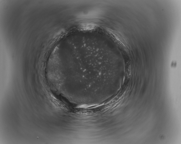 X0000099521441200805291201