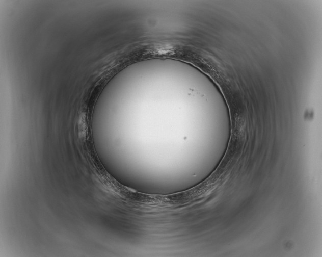 X0000099521442200805291201