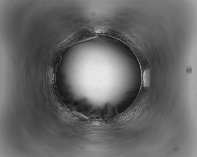 X0000099521443200805291201