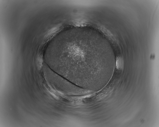 X0000099521444200805291201