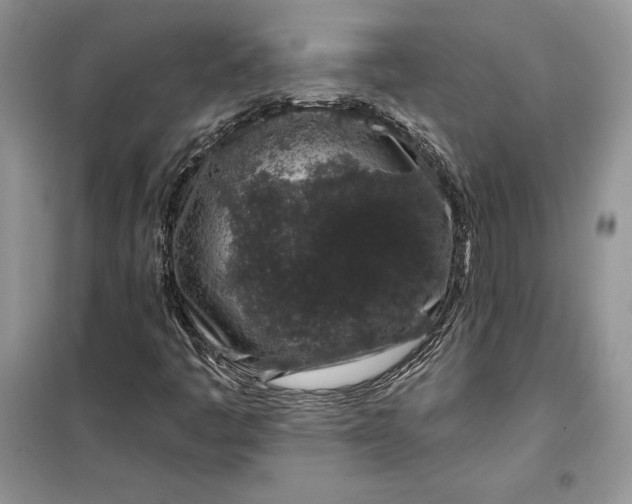 X0000099521445200805291201