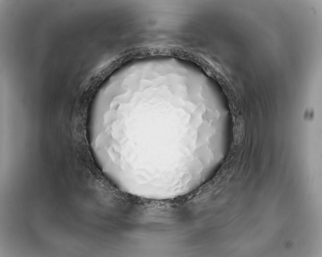 X0000099521446200805291201