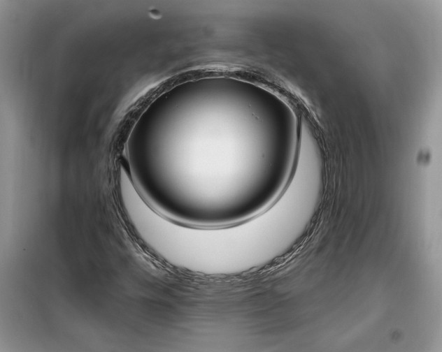 X0000099521448200805291201