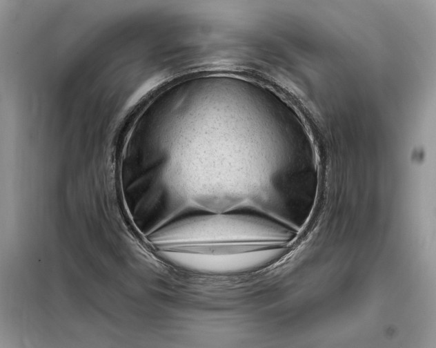 X0000099521450200805291201