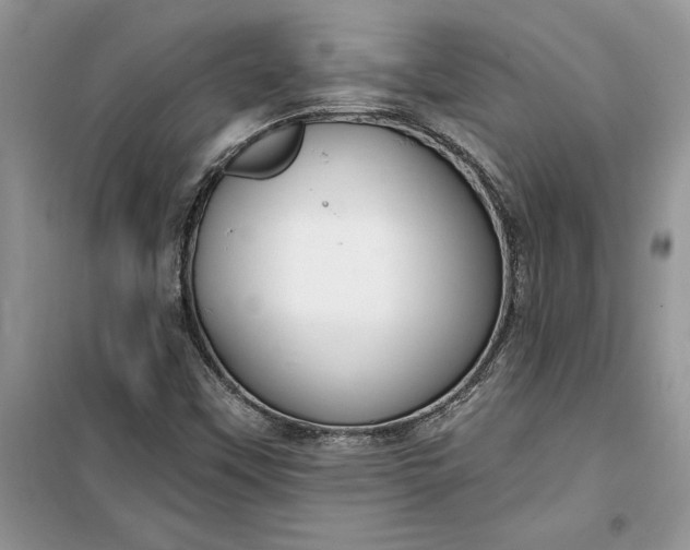 X0000099521451200805291201