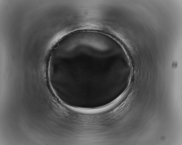 X0000099521455200805291201