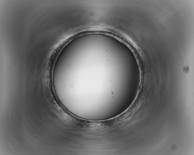 X0000099521456200805291201