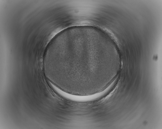 X0000099521457200805291201