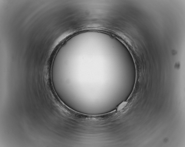 X0000099521458200805291201