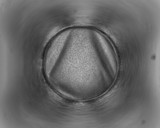 X0000099521459200805291201