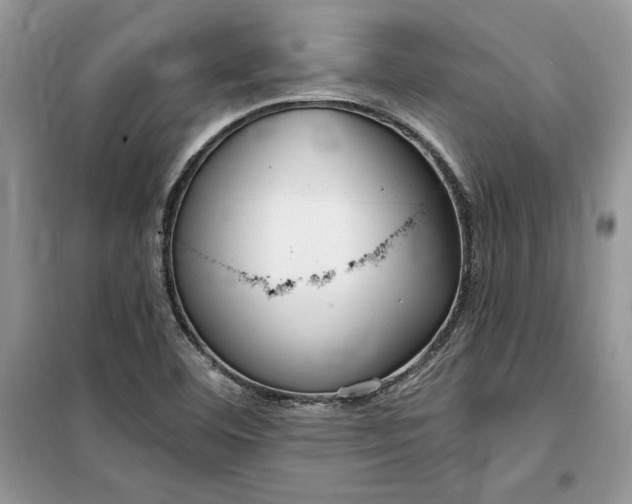 X0000099521460200805291201