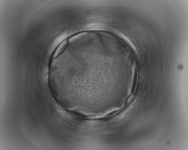 X0000099521461200805291201