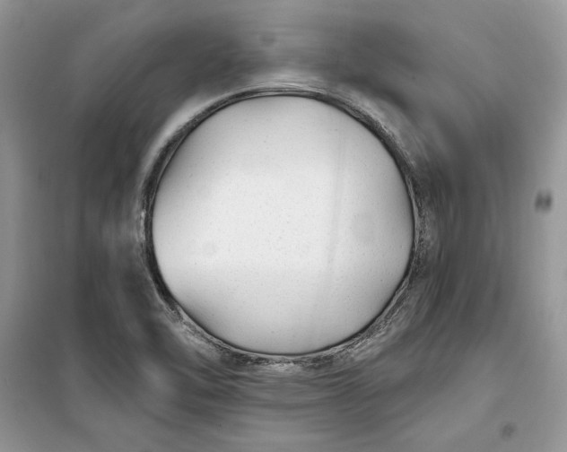 X0000099521462200805291201