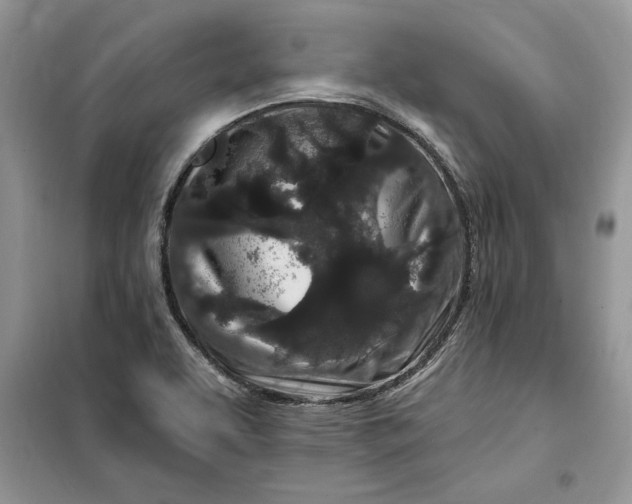 X0000099521463200805291201