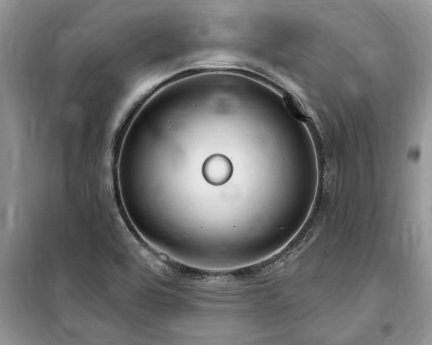 X0000099521464200805291201