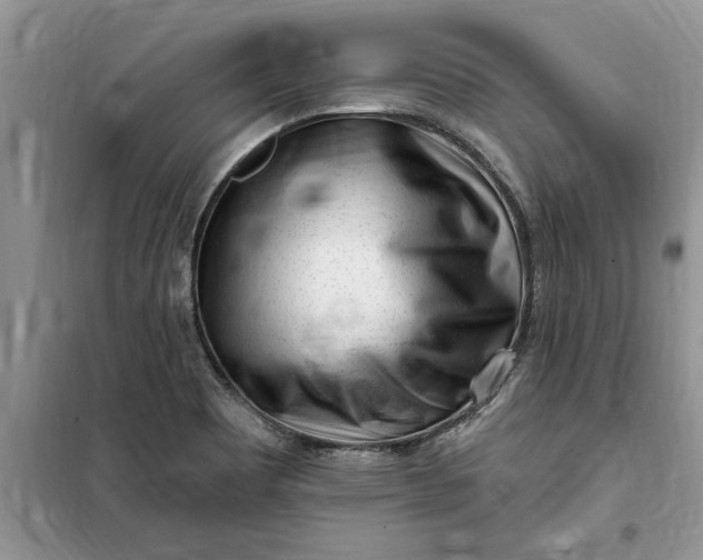 X0000099521465200805291201