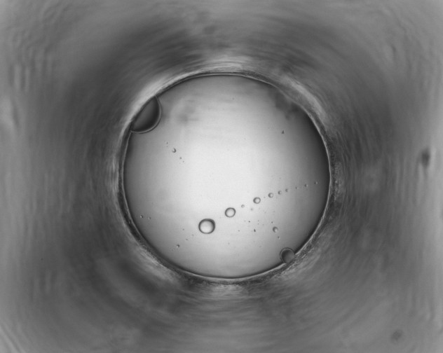 X0000099521467200805291201