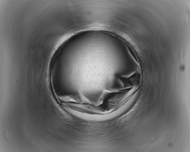 X0000099521469200805291201