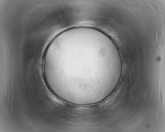 X0000099521470200805291201