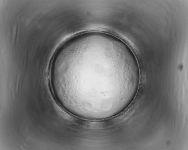 X0000099521471200805291201