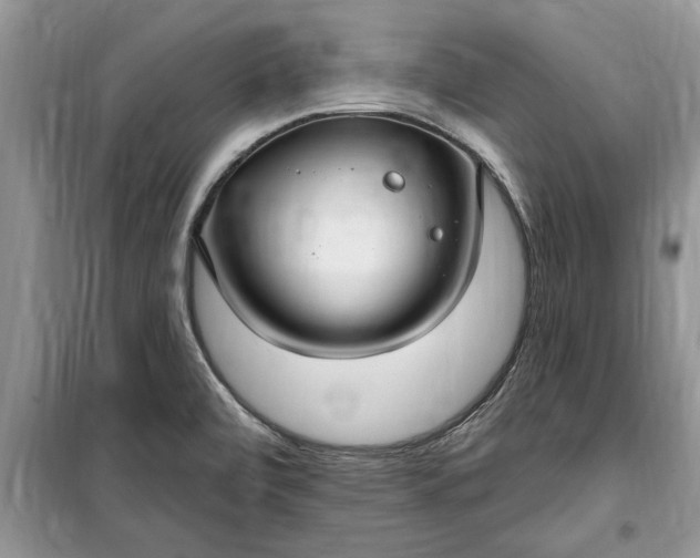 X0000099521472200805291201