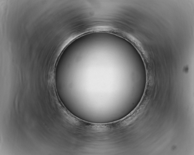 X0000099521473200805291201